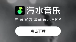 汽水音乐网页版